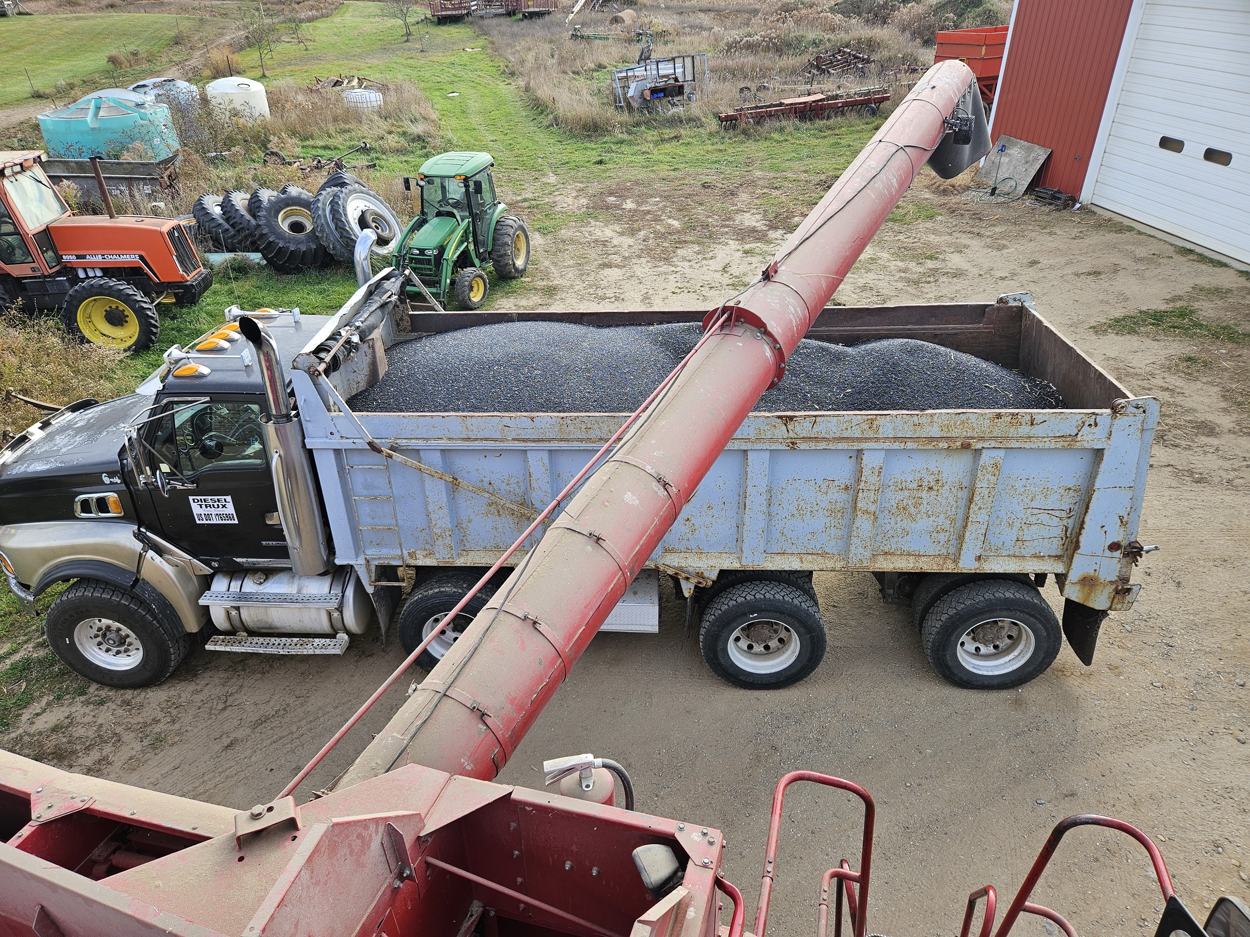 Cowbells & Horsetails LLC