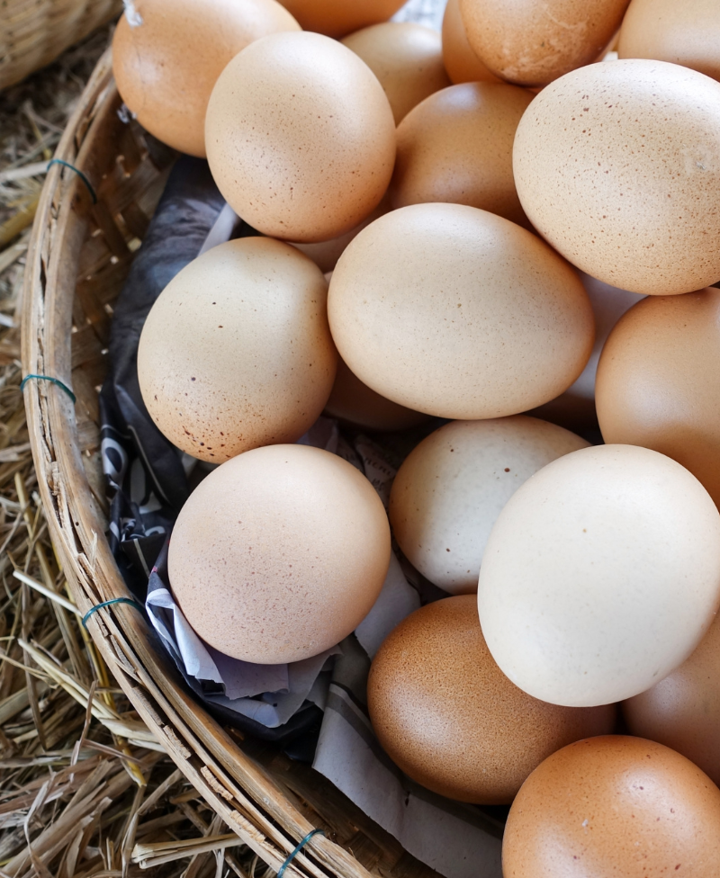 Farm fresh eggs