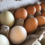 Cage Free Fresh Farm Duck Eggs